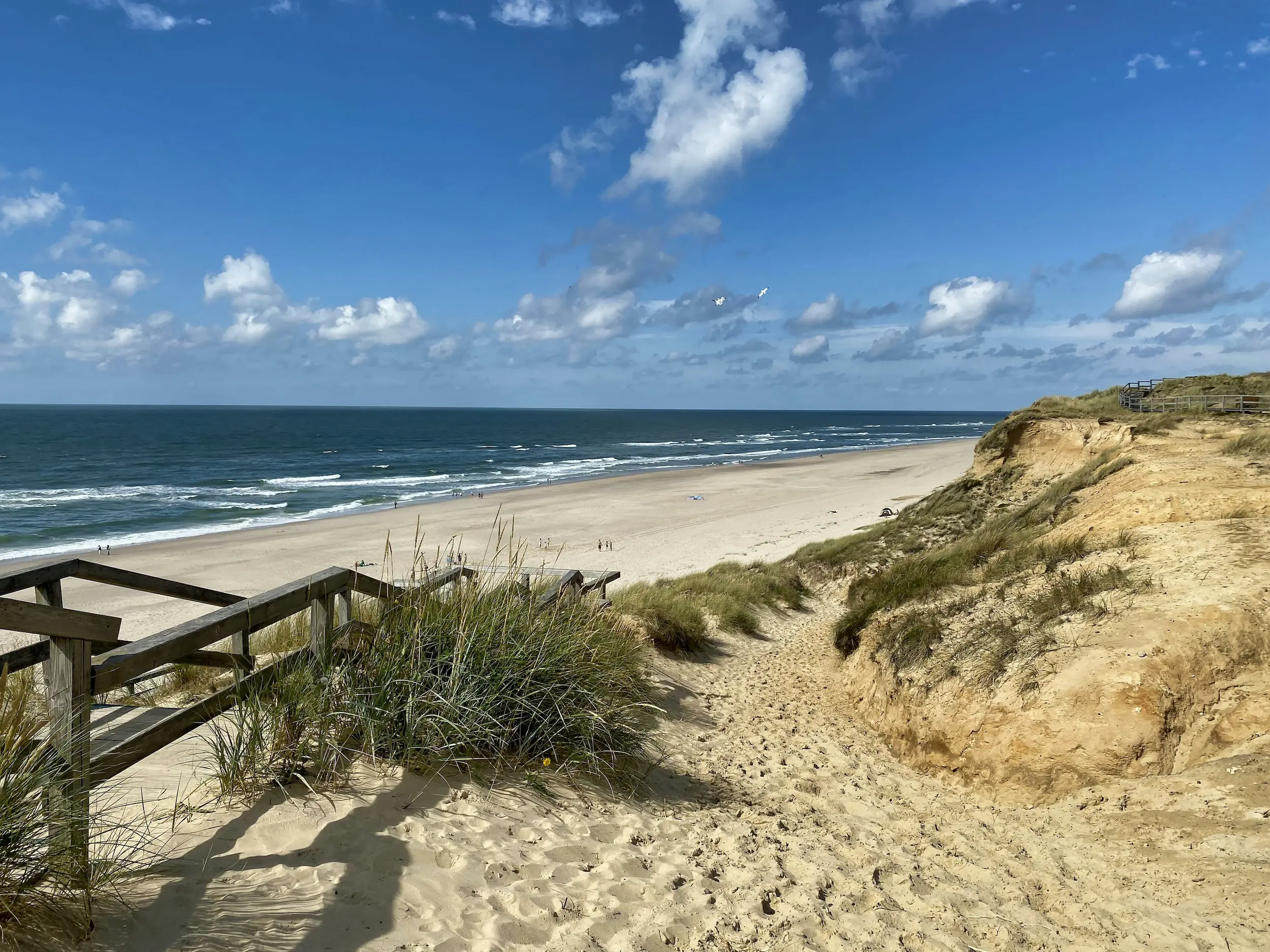 Dünenaussicht auf den Strand und das Meer