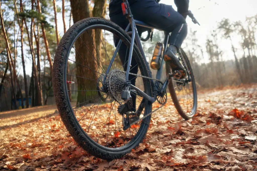 Person mit neuem Fahrrad fährt durch einen Laubwald.